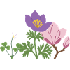 Blumen botanisch Pflanze Design