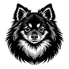 Pommerscher Hundekopf