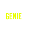 Genie Ingenieur