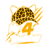 My 4 Birthday Leopard Party