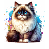 Ragdoll Katze Geschenk