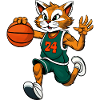 Katzen Basketball