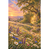 Wildblumenwiese am Waldrand