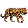 Poly Stil Leopard