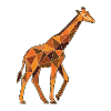Poly Stil Giraffe