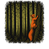 Eichhörnchen klettert auf einen Baum