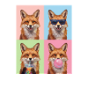 Füchse Fuchs