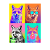 Füchse Fuchs
