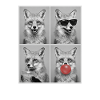 Füchse Fuchs