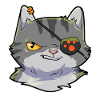 Katze Pirat