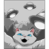 Katze UFO Selfie