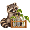 Waschbär vermehrt Pflanzen