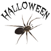 Halloween Spinne - Schriftzug im Grusel-Look