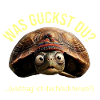 lustige Schildkröte, Was guckst Du? 