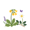 Blumen botanisch Pflanzenwelt Geschenkidee Design