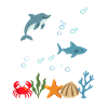 Delfin Unterwasser Kinder Hai