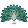Pfau