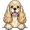 American Cocker Spaniel