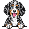 Aussiedoodle