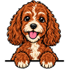 Cavapoo