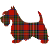 Tartan Scottie Hund | Pyrenäen-Linienlabor