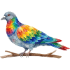 Regenbogenvogel