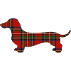 Tartan-Wursthund | Pyrenäenlinien-Labor