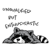 Unqualified but Enthusiastic – Lustiger Waschbär