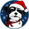 Hund Weihnachtsmann