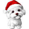 Weihnachten Hunde