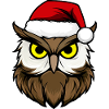 Eulen Weihnachten / Weihnachtsmann Vogel