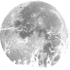 Ganze Nacht: Unheimlicher Wald