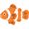 Clownfisch_orange_Aquarium_Geschenk