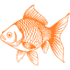 Süßer Goldfisch Comic Haustier Aquarium Geschenk