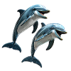 Delfine