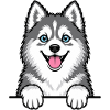 Pomsky