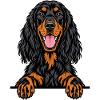 Gordon Setter
