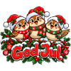 Frohe Weihnachtsvögel