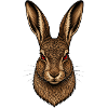 Der Hase