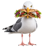 Silbermoewe-mit-Doener Möwe