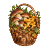 Pilzkorb voller Waldschätze