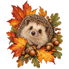 Igel im Herbstlaub Naturgarten