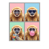 Gibbons Gibbon