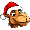 Kamele Christmas