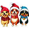 Hunde Weihnachten