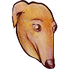 Pastell-Windhund-Porträt