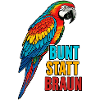 Papagei – Bunt statt braun
