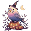 Wellensittich Halloween