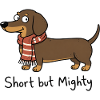 Dackel Hund Spruch