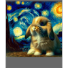 Zwergwidder Kaninchen Starry Night